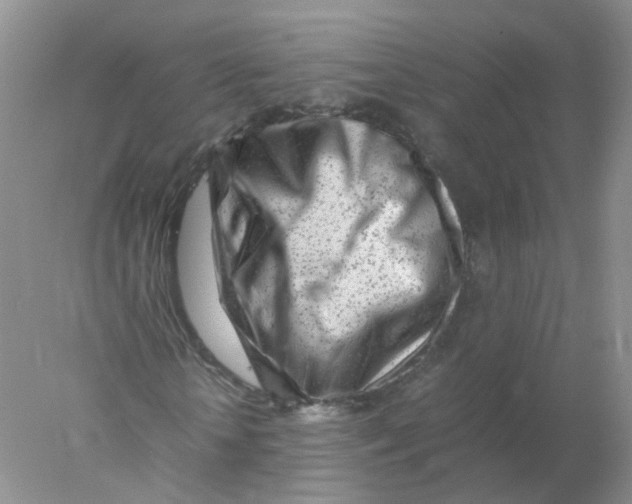 X0000078020818200611251527