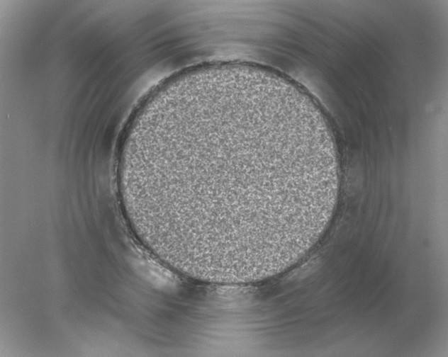 X0000078020832200611251527