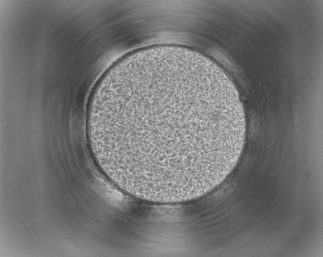 X0000078020836200611251527