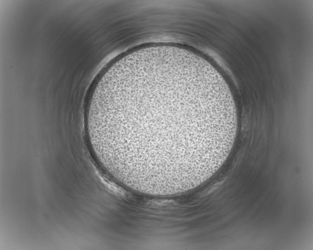 X0000078020837200611251527