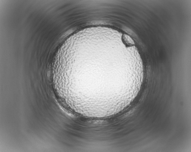 X0000078020841200611251527