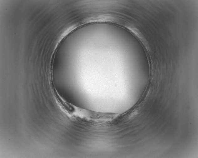X0000078020850200611251528