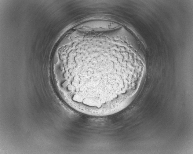 X0000078020853200611251528