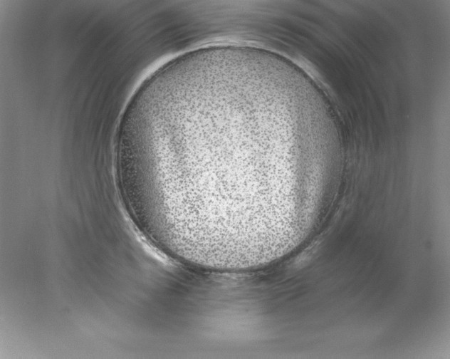 X0000078020854200611251528