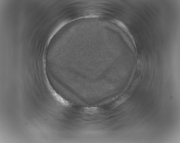 X0000078020859200611251528
