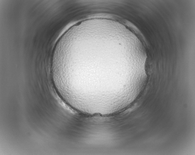 X0000078020860200611251528