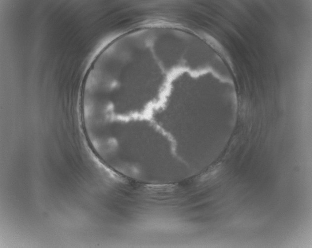 X0000078020863200611251528