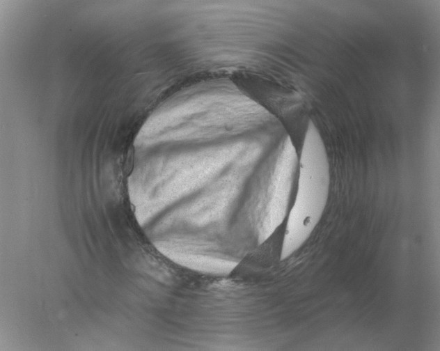 X0000078020868200611251527
