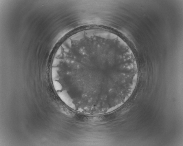 X0000078020879200611251527