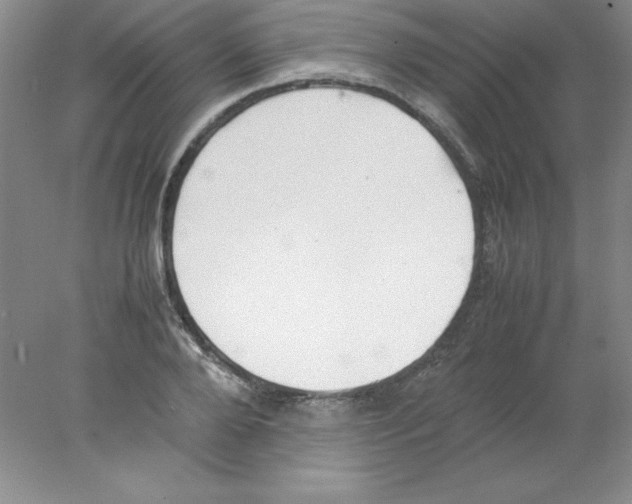 X0000078020888200611251527