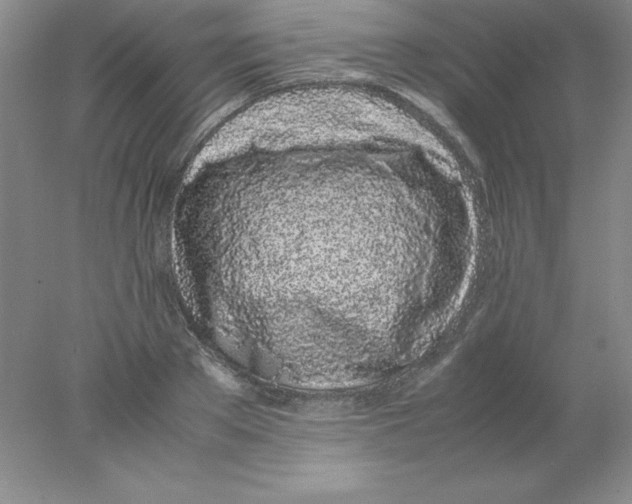 X0000078020889200611251527