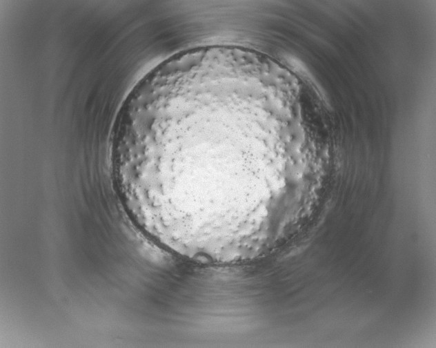 X0000078020900200611251526