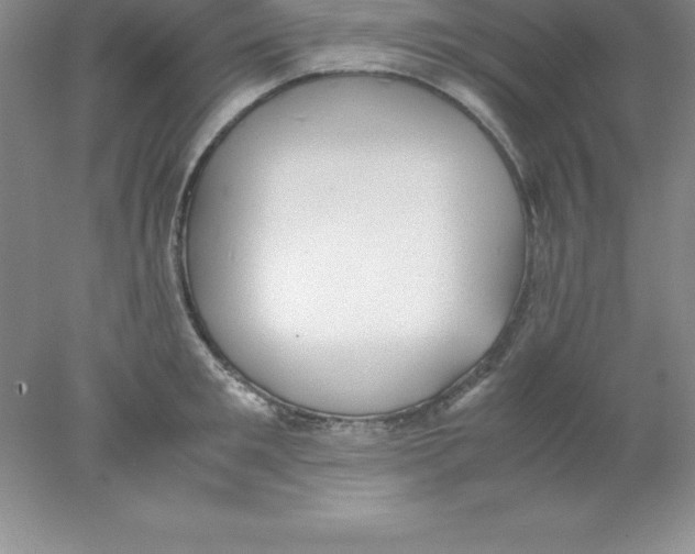 X0000078020901200611251526