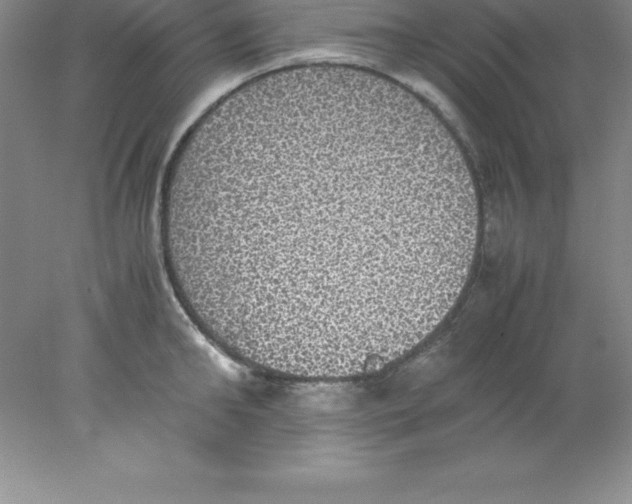 X0000078020902200611251526