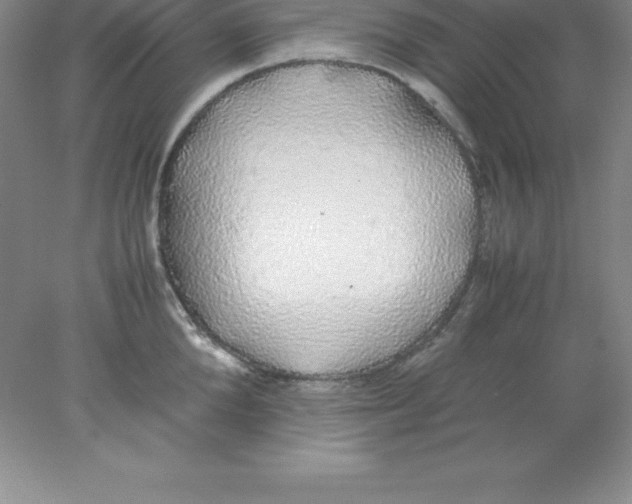 X0000078020904200611251526