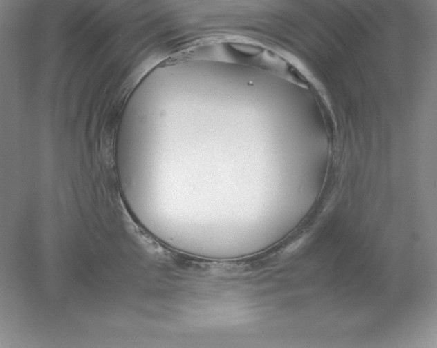 X0000078020905200611251526