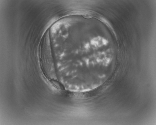 X0000078020907200611251526
