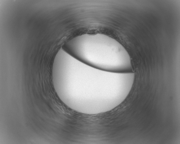 X0000078020916200611251526