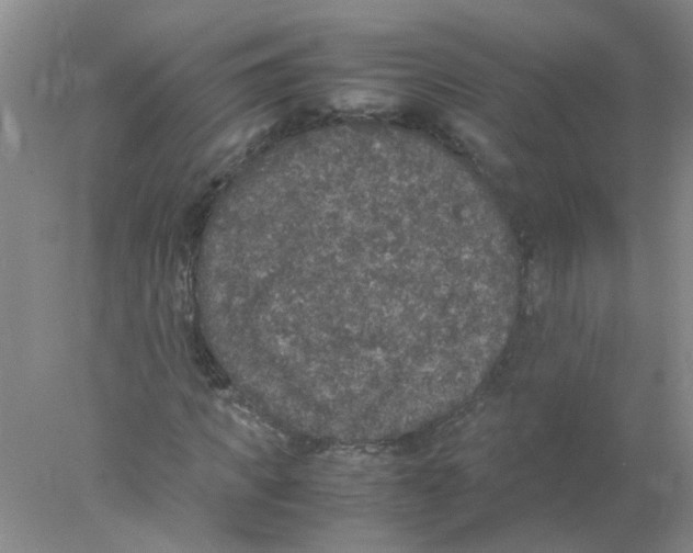 X0000078020917200611251526