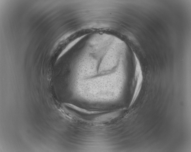 X0000078020920200611251526