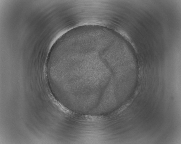 X0000078020928200611251526