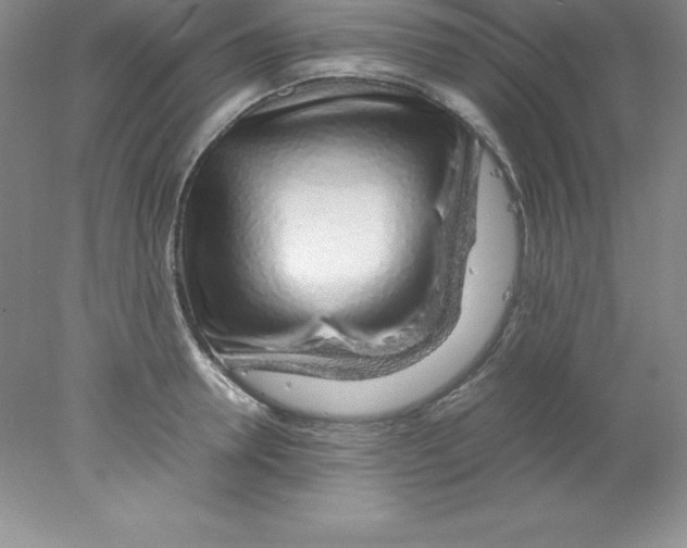 X0000078020946200611251526