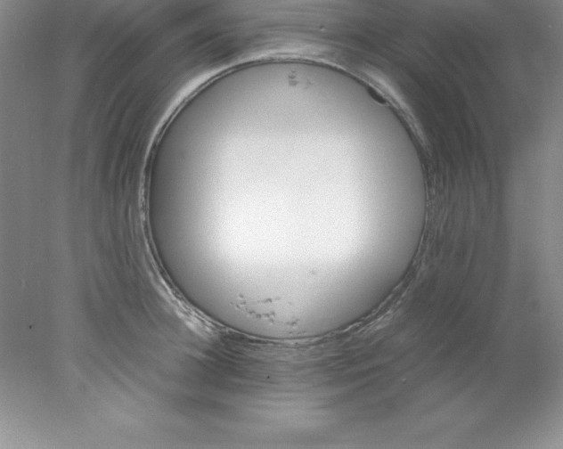 X0000078020948200611251526