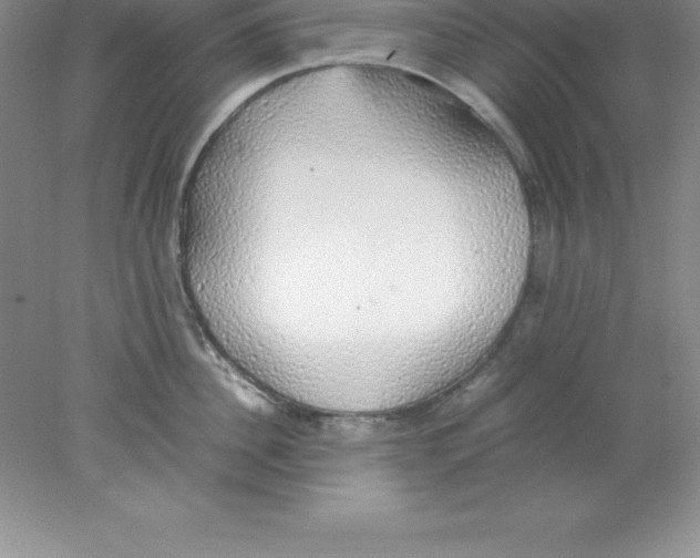 X0000078020956200611251526