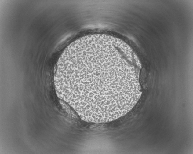 X0000078020967200611251525