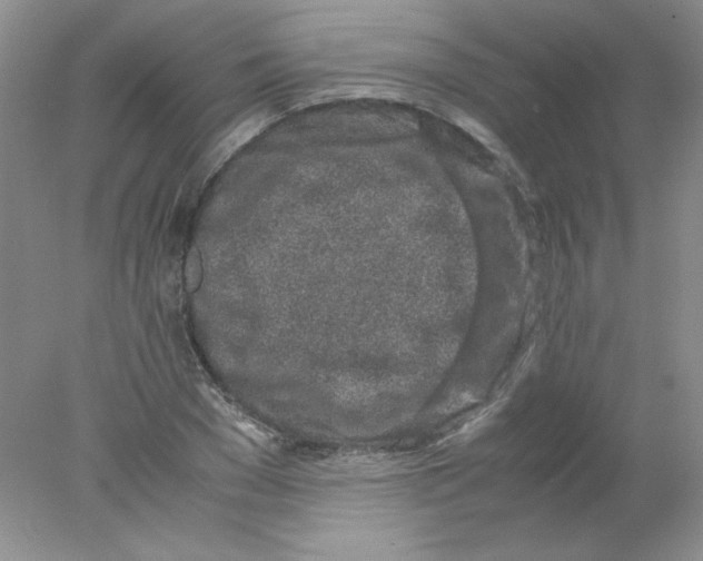 X0000078020977200611251525