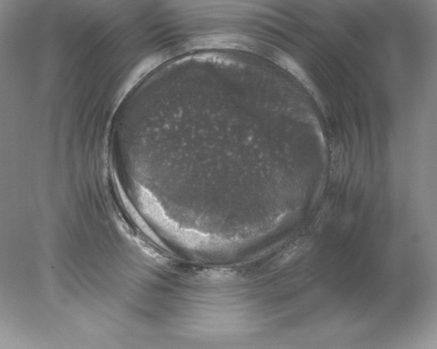 X0000078020994200611251525