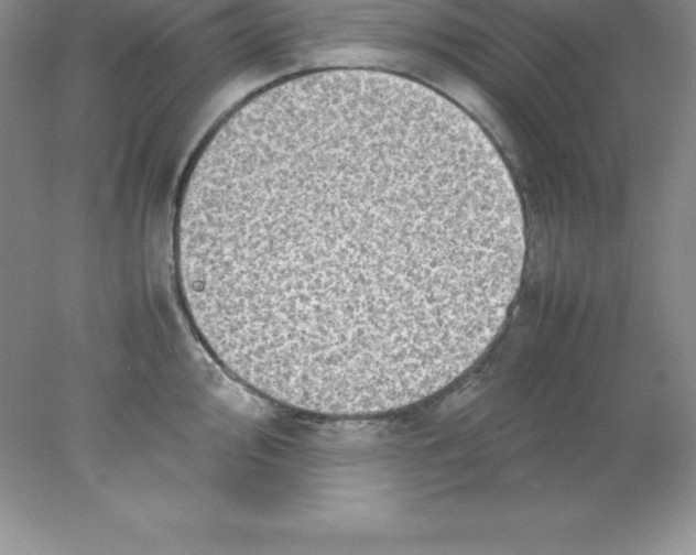 X0000078021000200611251525