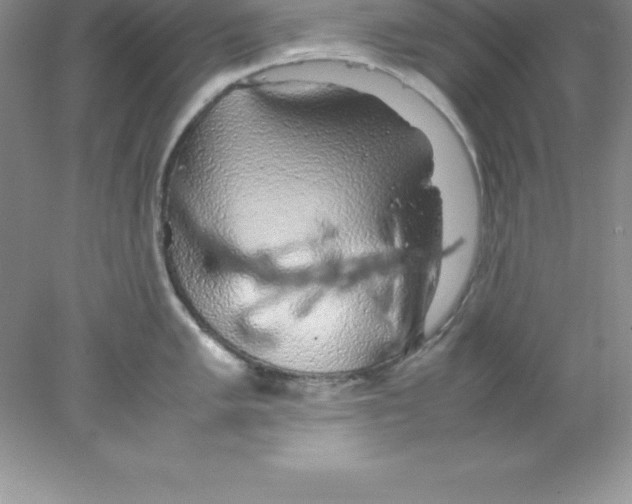 X0000078021005200611251525