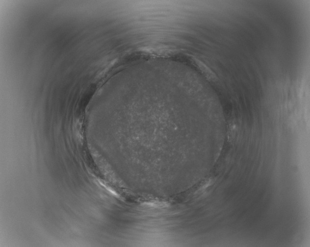 X0000078021010200611251524
