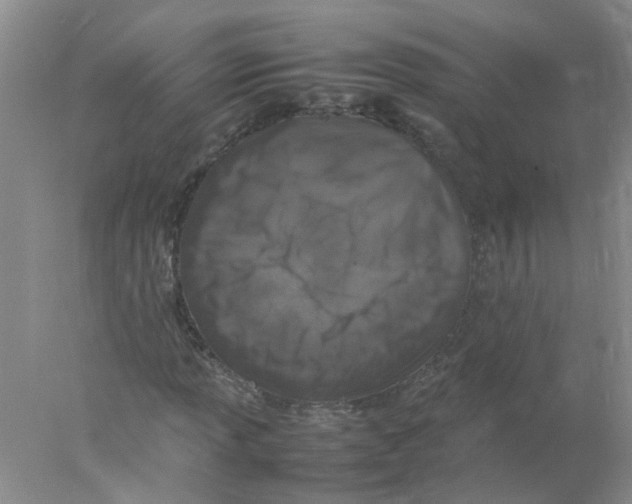 X0000078021013200611251524