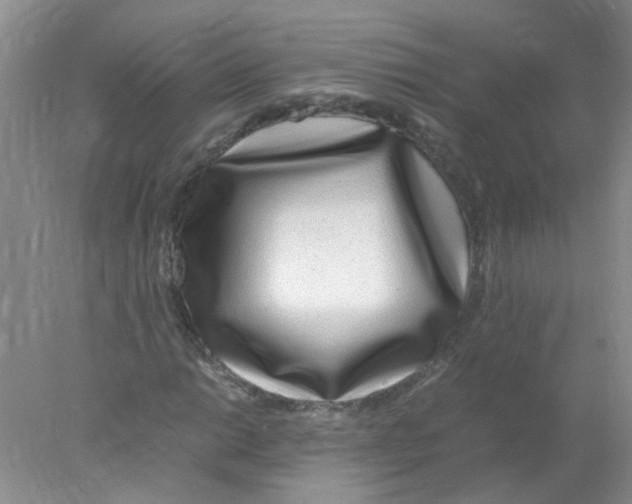 X0000078021014200611251524