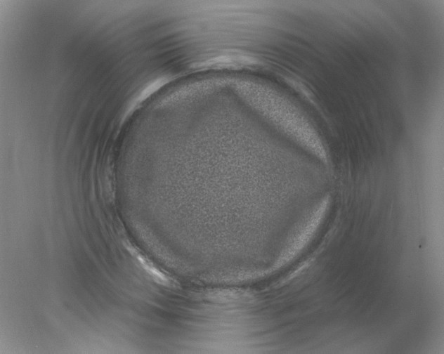 X0000078021018200611251524