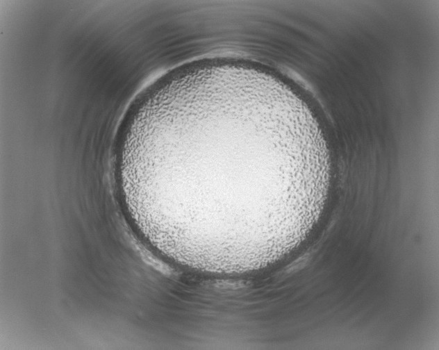 X0000078021029200611251524
