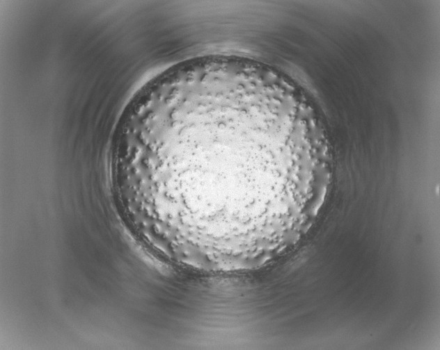 X0000078021032200611251524