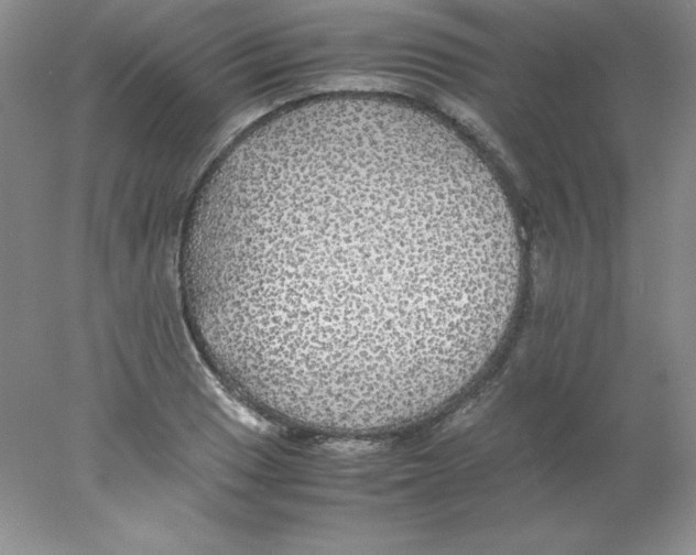 X0000078021033200611251524