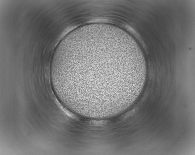 X0000078021041200611251524