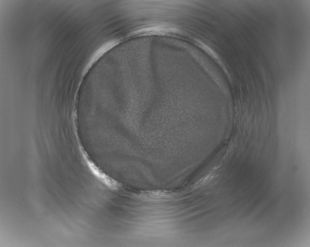 X0000078021042200611251524