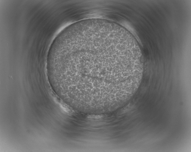 X0000078021051200611251525