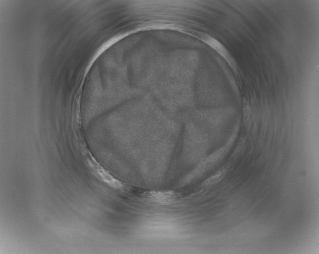 X0000078021052200611251525