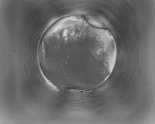 X0000078021055200611251525