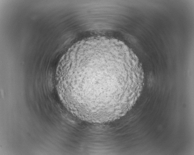 X0000078021060200611251524