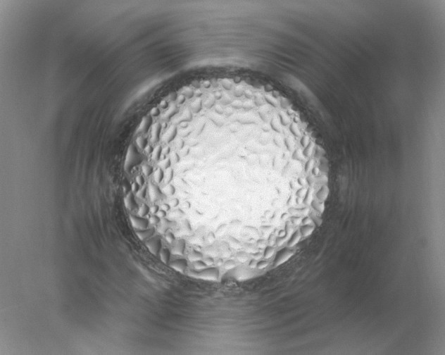 X0000078021064200611251524