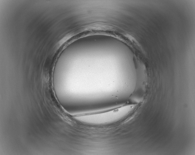X0000078021065200611251524
