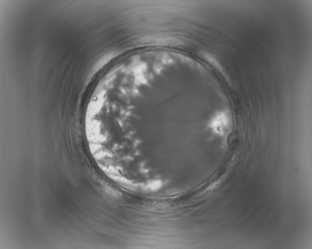 X0000078021071200611251524