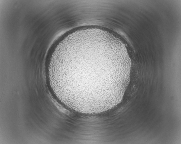 X0000078021072200611251524
